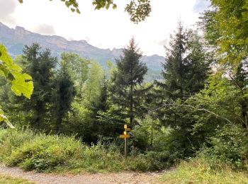 Randonnée Marche Plateau-des-Petites-Roches - Cascade du Douix - Photo