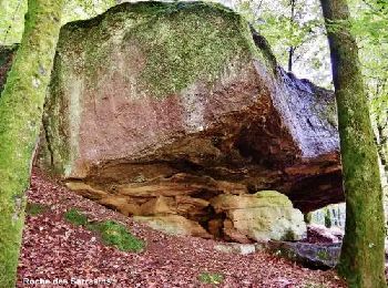 Excursión Senderismo Frédéric-Fontaine - Frédéric-fontaine  Roche-des-Sarrasins - Photo