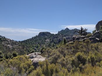 Randonnée Marche Monacia-d'Aullène - Boucle des Omos - Photo