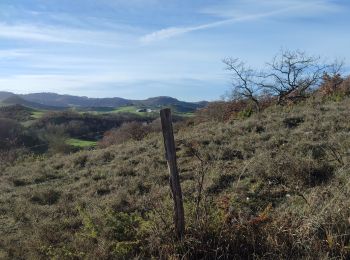 Trail Walking Plavilla - Plavilla la campagne d'aujour d'hui et d'hier - Photo