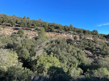 Tour Wandern Garéoult - GARÉOULT - Photo