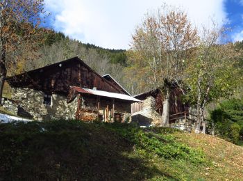 Excursión Senderismo La Tour-en-Maurienne - Crêt du Carolier - Photo