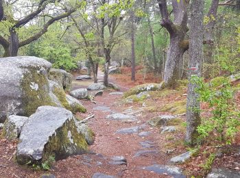 Randonnée Marche Saint-Fargeau-Ponthierry - rando Pringy Bois le Roi - Photo