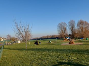 Randonnée Marche Sotteville-sous-le-Val - 20230214 Sotteville sous le val  Les Authieux  - Photo