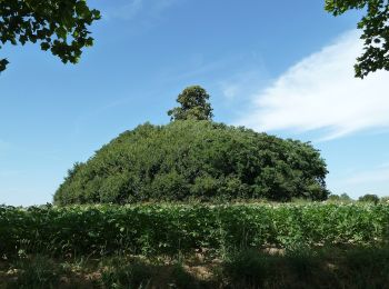 Randonnée A pied Incourt - Promenade du Tumulus - Photo