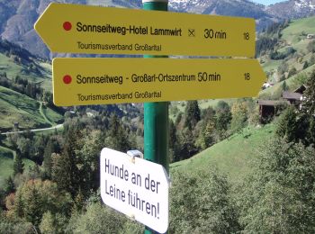 Tour Zu Fuß Großarl - Wanderweg 66 - Photo