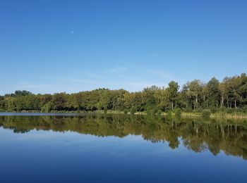 Percorso Mountainbike Fère-en-Tardenois - Bois de Saponay du 08/09/2020 - Photo