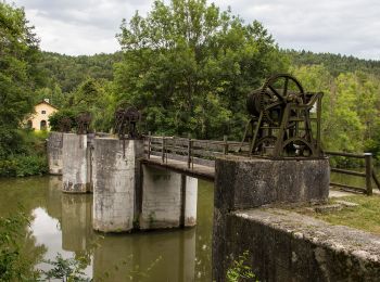 Excursión A pie Riedenburg - Rundweg Essing 3 - Photo