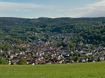 Tour Zu Fuß Bad Soden-Salmünster - Bad Orb Rundwanderweg 1 Orbtalblick - Photo