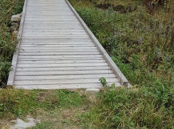 Tocht Stappen Moulinet - Bois Noir au départ de Cabanes Vieilles - Photo