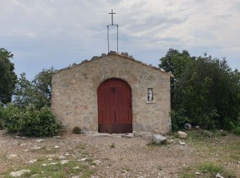 Trail Walking Jouques - Mont Concors Taulisson - Photo