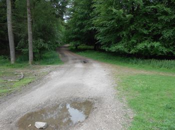 Tour Zu Fuß Ashford - Beech Walk & Sculptures - Photo