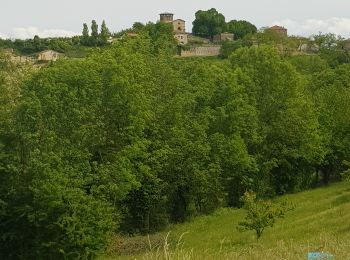 Randonnée Marche Claveyson - Prieure de Saint Andeol - Photo