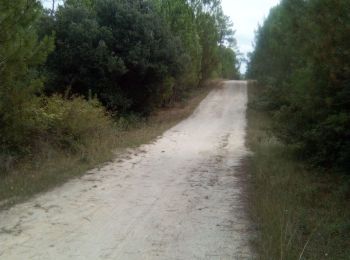 Tour Wandern Le Grand-Village-Plage - Oléron 2 - Photo