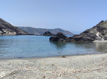 Trail Walking Cadaqués - CAP CREUS CALA PRONA - Photo