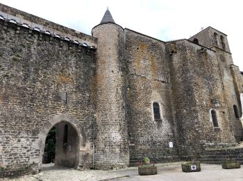 Randonnée Marche Viala-du-Pas-de-Jaux - Viala St jean d alias - Photo