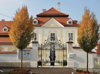 Tocht Te voet Wilhering - Sternweg Wilhering-Linde - Photo