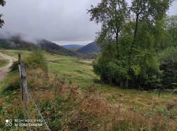 Randonnée Marche Goldbach-Altenbach - Firstacker - Photo