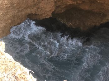 Tocht Stappen Anse-Bertrand - Porte d’enfer anse Bertrand  - Photo