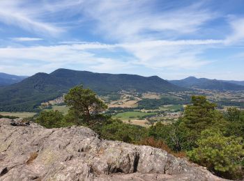 Tour Wandern Dambach - Sommets et rochers - Photo