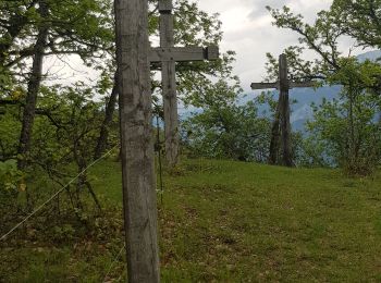 Tour Wandern Bonneville - Tour du Reyret - Photo