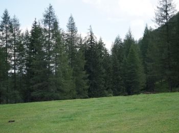 Excursión A pie Gemeinde Sankt Jakob in Defereggen - Wassererlebnisweg St. Jakob i. D. - Photo