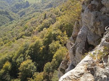 Tour Klettersteig Les Déserts - via ferrata Revard - Photo