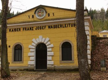 Excursión A pie Gemeinde Zwettl-Niederösterreich - Zwettler Bierweg 52 - Photo