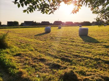 Tour Wandern Fléron - Promenade sous les Bouhys   - Photo