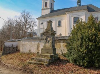 Excursión A pie Dolní Morava - [Č] Žibřidovice - Sušina - Photo