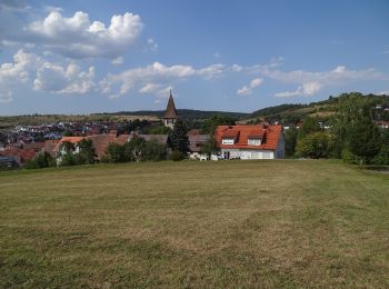 Tocht Te voet Wildberg - Sulz am Eck - Gültlinger Kapf - Photo