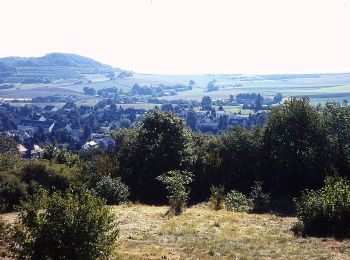 Excursión A pie Ober-Ramstadt - Rundwanderweg Ober-Ramstadt Am Kuhfalltor 3: Geisenwald-Weg - Photo