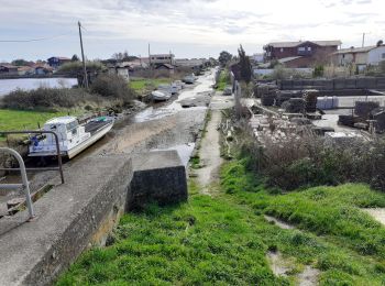 Trail Walking Gujan-Mestras - le port du rocher  - Photo