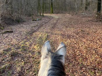 Percorso Equitazione Habay - Les 4 fils Aymon en minimisant la route et en sécurisant le départ pour les chevaux - Photo