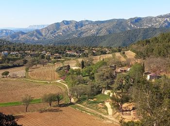 Randonnée Marche Roquefort-la-Bédoule - Le Montounier - Photo