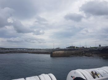 Trail Motorboat  - croisière irlande - Photo