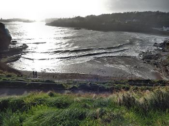 Percorso A piedi Waterford City Metropolitan District - Fairy Bush Loop - Photo