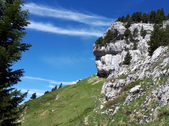 Tocht Stappen Saint-Pierre-d'Entremont - chartreuse varvats fouda blanc pinet - Photo