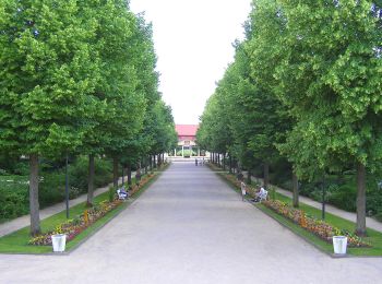 Tour Zu Fuß Bad Bocklet - Karolingerweg Variante über Münnerstadt - Photo