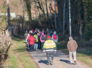 Tocht Stappen Saint-Victor-de-Buthon - Saint-Victor-de-Buthon - Thiron-Gardais 17 km - Photo