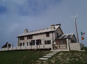 Excursión A pie Ala - Giro delle Malghe di Sega di Ala - Photo