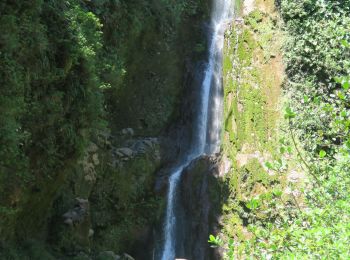 Tocht Te voet Saint-Claude - La Soufrière et le retour par le Col de l'Échelle - Photo