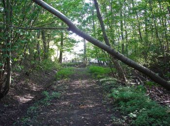 Trail On foot  - Skibby Hjertesti - Photo