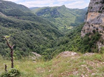 Trail Walking Plateau d'Hauteville - cascade longcombe - Photo