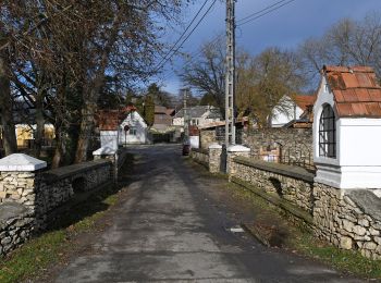 Percorso A piedi Kapolcs - S+ (Kapolcs, am. - Kecske-kő - Alsó-erdő - Kettős-tó) - Photo