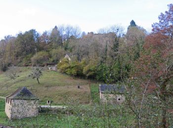 Randonnée Marche Orgnac-sur-Vézère - Gorges de la Vézère : Boucle Comborn-le Saillant - Photo