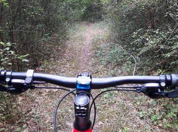 Excursión Bicicleta híbrida Quint-Fonsegrives - Sainte-Foy d'Aigrefeuille Teulat Gragnague - Photo