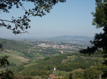 Tocht Te voet Yzeron - La chapelle de Châteauvieux - Photo