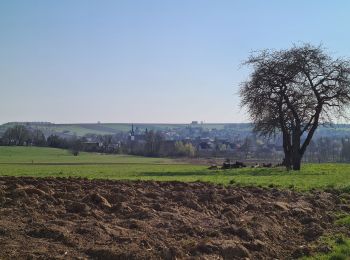 Excursión Senderismo Soultz-sous-Forêts - Le sentier des cimes depuis Soultz - Photo