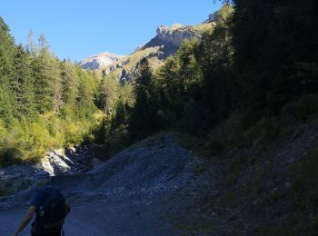 Tour Wandern Ayent - Bitailla  - Photo